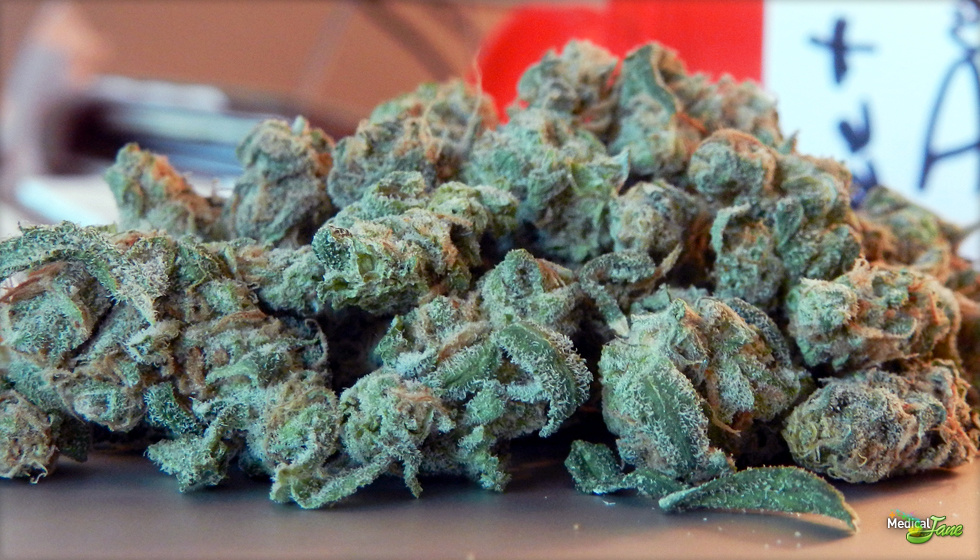 Sweet Dream Marijuana Strain (Review)