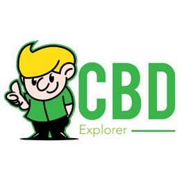 CBD Explorer - Dublin, Ireland