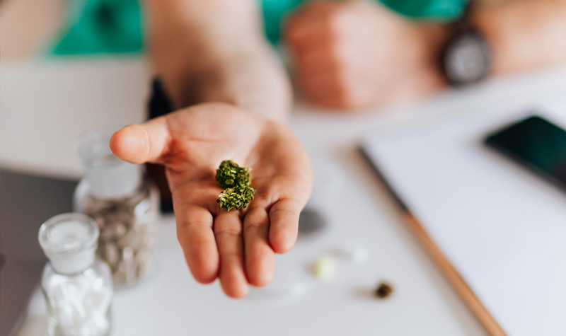photo of Study Finds Healthcare Providers Need More Education On Cannabis image