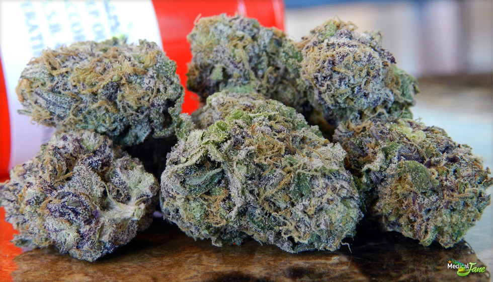 Purple Dynamite Marijuana Strain Review