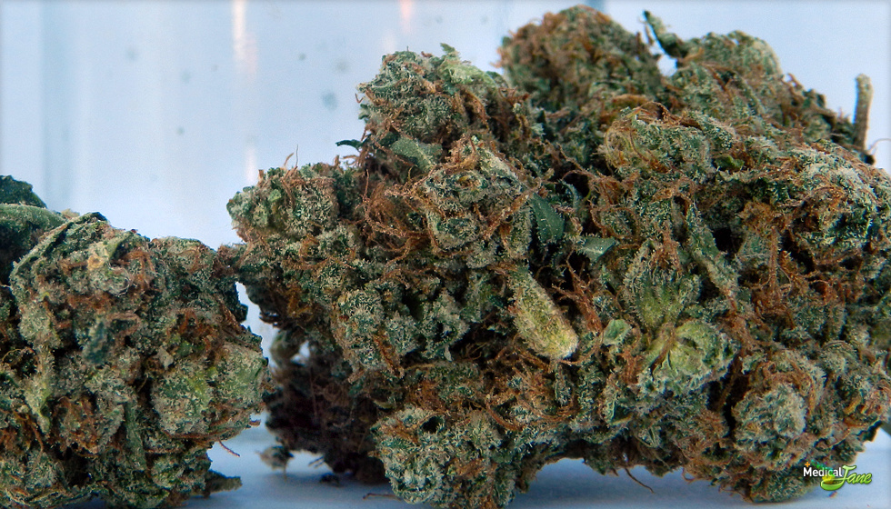 777 OG Marijuana Strain (Review)
