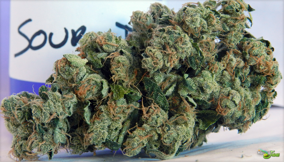 Buy Sour Diesel Online