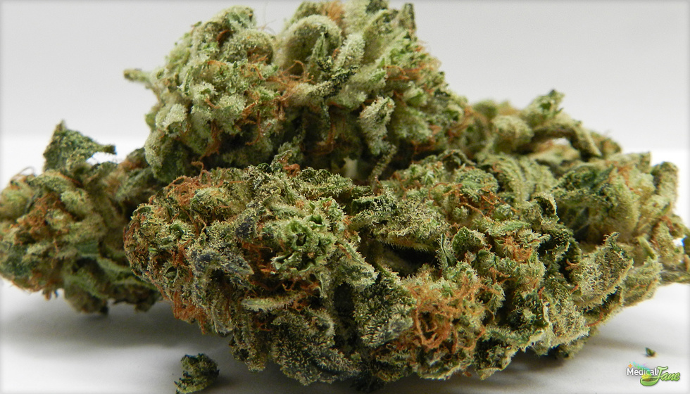 Ghost Rider Marijuana Strain Review