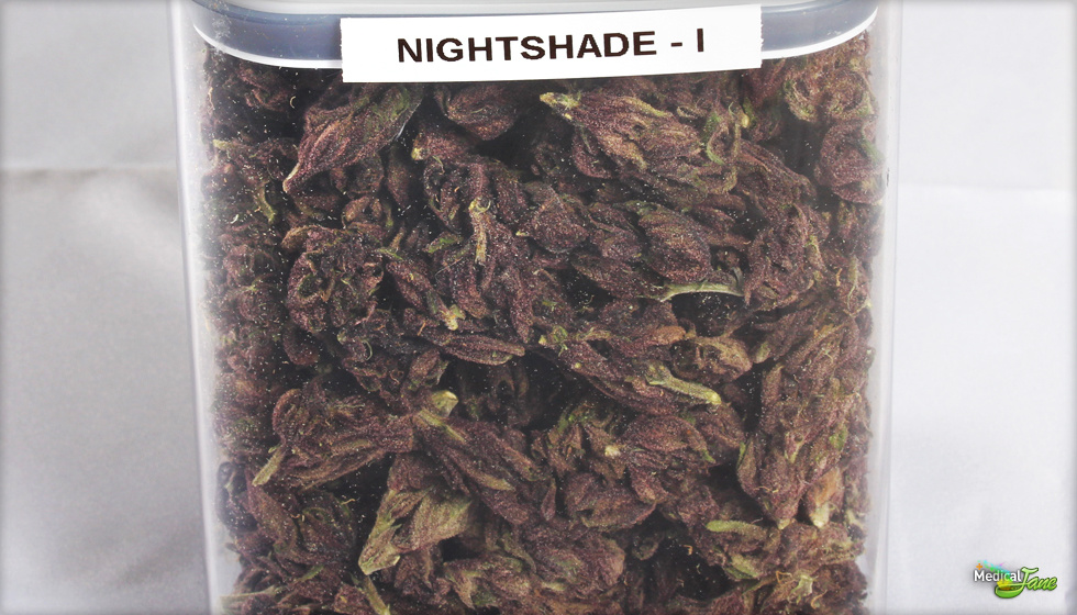 Night Shade Marijuana Strain (Review)