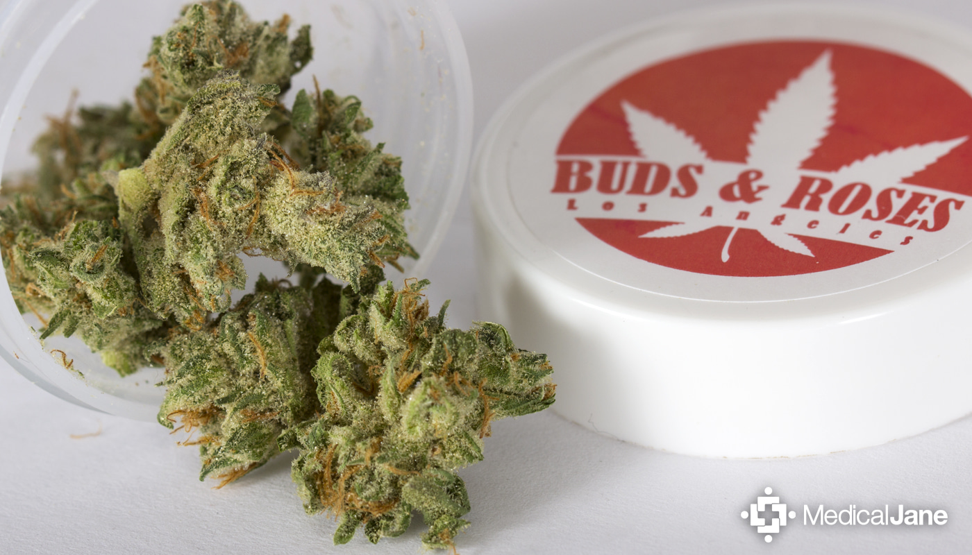 Strawberry Choke Marijuana Strain (Review)