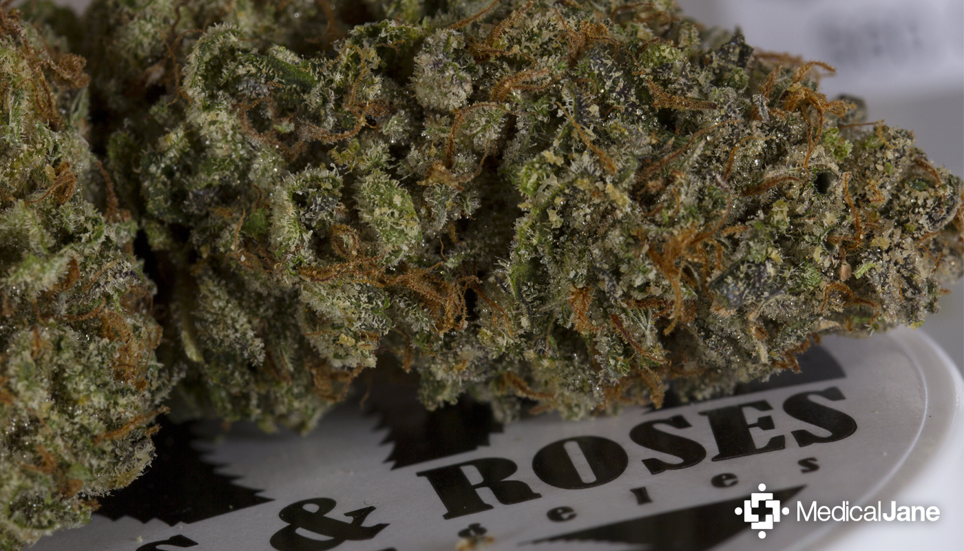 Ken's Kush Marijuana Strain (Review)
