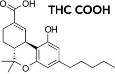COOH THC