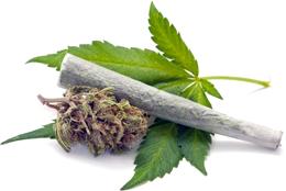 Legal Marijuana Online Store Buy marijuana for anxiety Buy marijuana edibles USA Buy original weed online Buy legit cannabis online 
