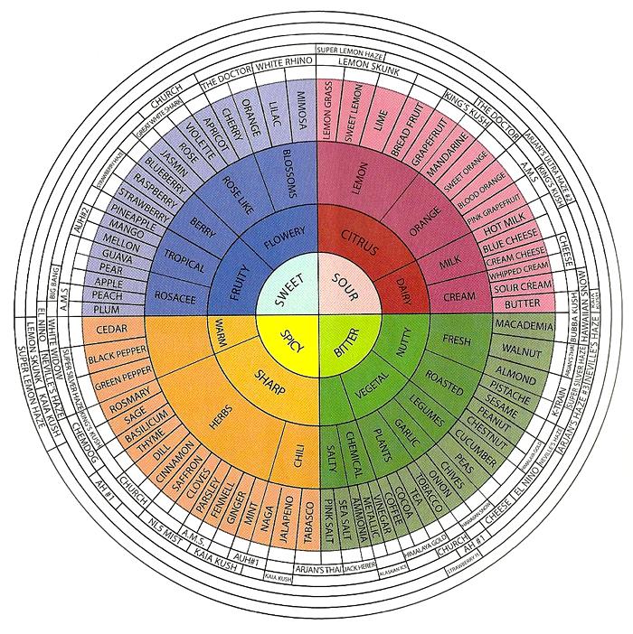 Flavor wheel (source: GreenHouse Seeds Co.) 