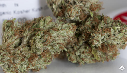 kosher kush marijuana strain review