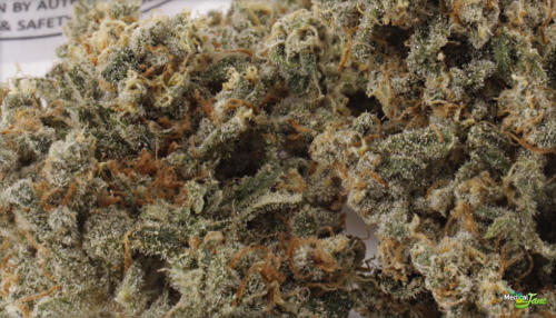 trainwreck strain - purple trainwreck strain - trainwreck strain review