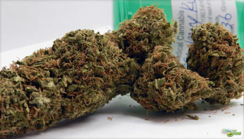 Strawberry Alien Kush Marijuana Strain Review