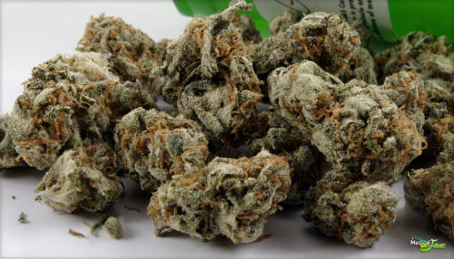 Get Wallpaper Amnesia Haze Marijuana Strain Review Free HD