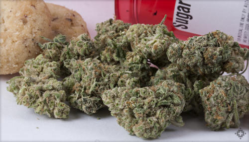 Sugar Cookie Marijuana Strain (Review)