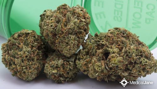 Lemon Haze Marijuana Strain Review