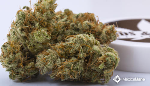 Strawberry Banana Marijuana Strain Review