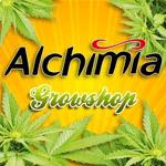 Alchimia Growshop El Pont Del Princep Spain