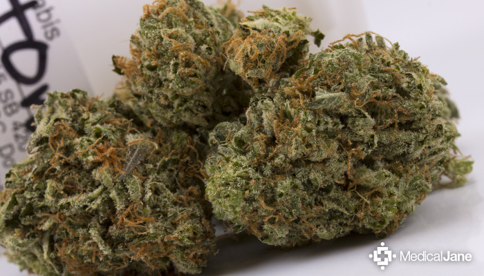 Agent Orange Marijuana Strain Review Agent Orange Marijuana Strain Review