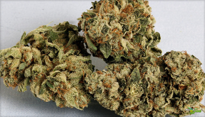 OG KUSHテルペン　10ml Original Z x OG Strain - Hybrid Cannabis Review, 35.54% THC